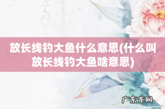 什么叫放长线钓大鱼啥意思 放长线钓大鱼什么意思