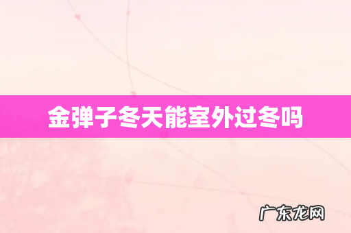 金弹子冬天能室外过冬吗