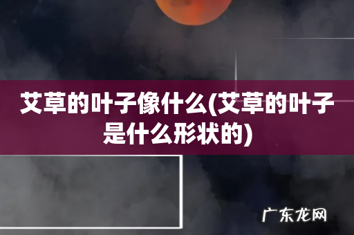 艾草的叶子是什么形状的 艾草的叶子像什么
