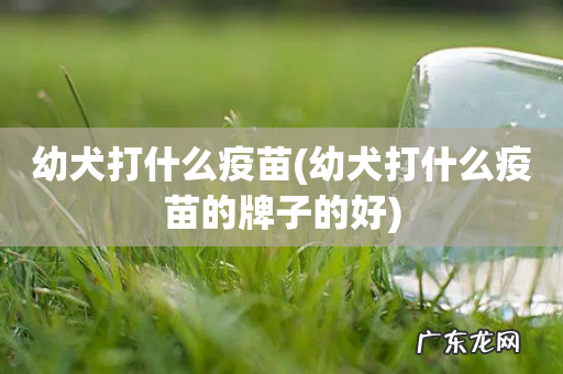 幼犬打什么疫苗的牌子的好 幼犬打什么疫苗