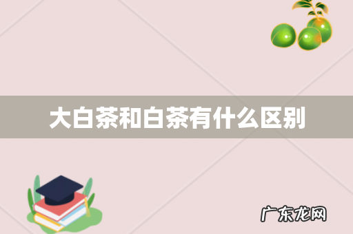 大白茶和白茶有什么区别