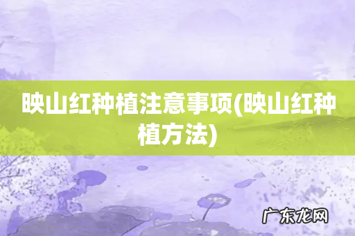 映山红种植方法 映山红种植注意事项