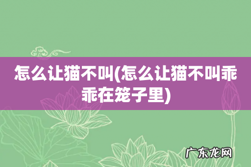 怎么让猫不叫乖乖在笼子里 怎么让猫不叫