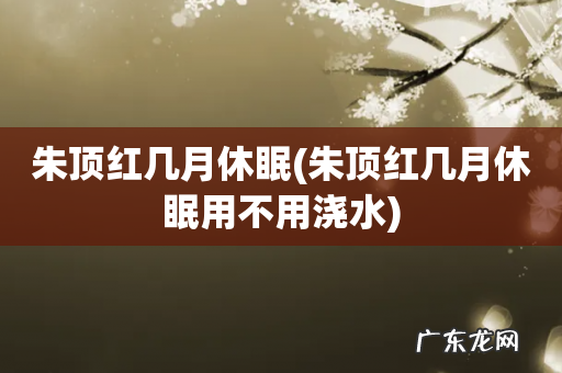 朱顶红几月休眠用不用浇水 朱顶红几月休眠