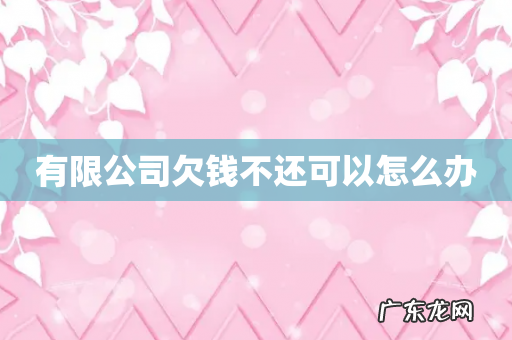 有限公司欠钱不还可以怎么办