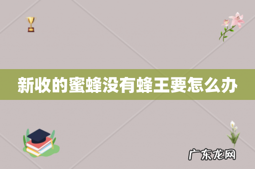 新收的蜜蜂没有蜂王要怎么办
