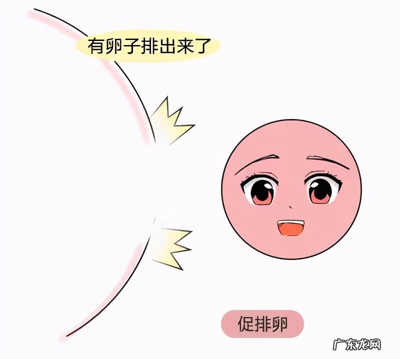 多囊卵巢怎么治疗最好最有效 多囊卵巢一般怎么治