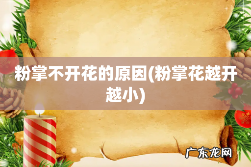 粉掌花越开越小 粉掌不开花的原因