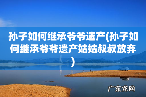 孙子如何继承爷爷遗产姑姑叔叔放弃 孙子如何继承爷爷遗产