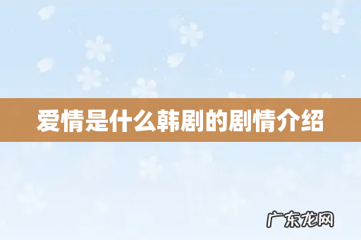 爱情是什么韩剧的剧情介绍