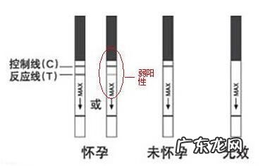 测孕纸的正确使用方法 测孕纸怎么看