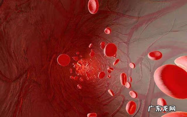 地中海贫血吃什么调理 地中海贫血能治愈吗?