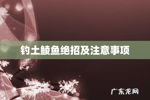 钓土鲮鱼绝招及注意事项