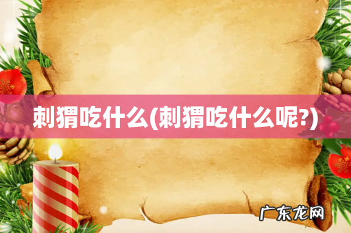 刺猬吃什么呢? 刺猬吃什么