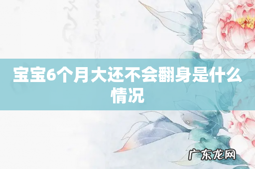 宝宝6个月大还不会翻身是什么情况