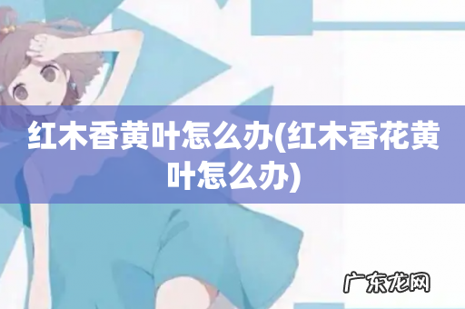 红木香花黄叶怎么办 红木香黄叶怎么办