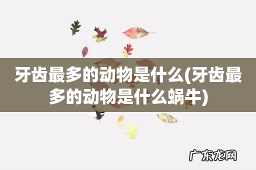 牙齿最多的动物是什么蜗牛 牙齿最多的动物是什么