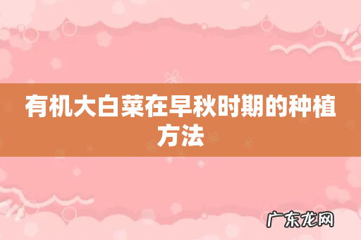 有机大白菜在早秋时期的种植方法
