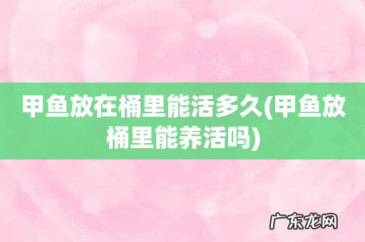 甲鱼放桶里能养活吗 甲鱼放在桶里能活多久