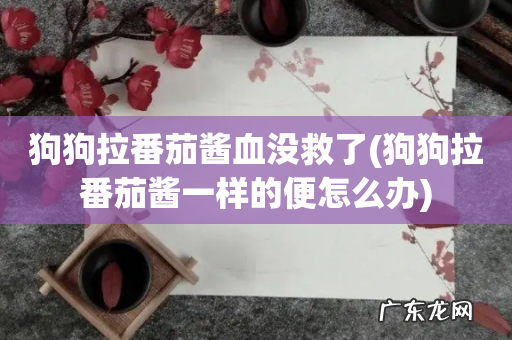 狗狗拉番茄酱一样的便怎么办 狗狗拉番茄酱血没救了