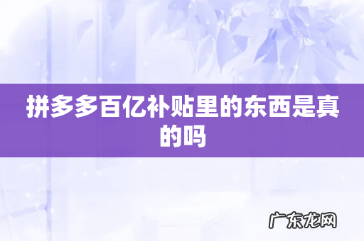 拼多多百亿补贴里的东西是真的吗