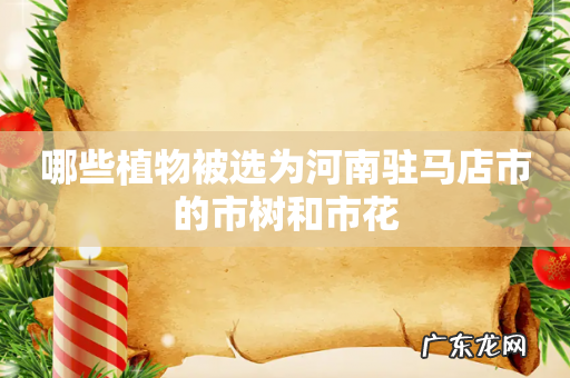 哪些植物被选为河南驻马店市的市树和市花