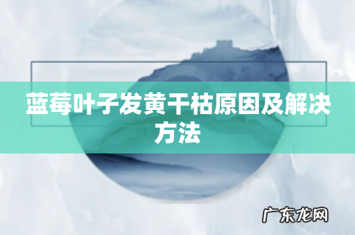 蓝莓叶子发黄干枯原因及解决方法