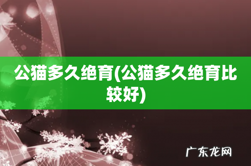 公猫多久绝育比较好 公猫多久绝育