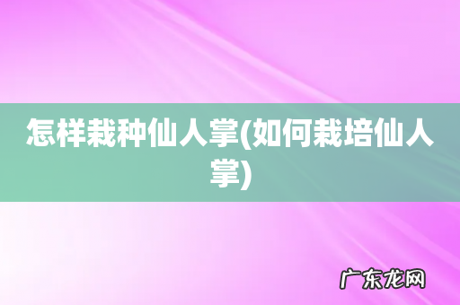 如何栽培仙人掌 怎样栽种仙人掌
