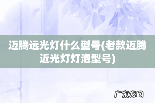 老款迈腾近光灯灯泡型号 迈腾远光灯什么型号