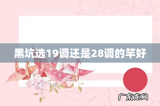 黑坑选19调还是28调的竿好