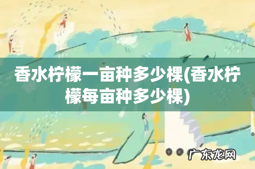 香水柠檬每亩种多少棵 香水柠檬一亩种多少棵