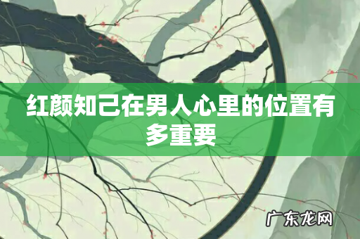 红颜知己在男人心里的位置有多重要