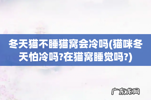猫咪冬天怕冷吗?在猫窝睡觉吗? 冬天猫不睡猫窝会冷吗