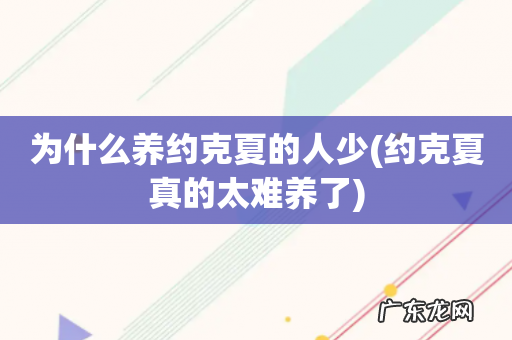 约克夏真的太难养了 为什么养约克夏的人少