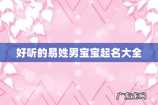 好听的易姓男宝宝起名大全