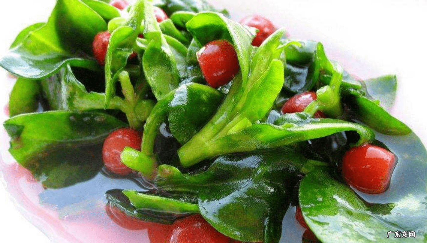 穿心莲怎么吃最好 穿心莲怎么吃?