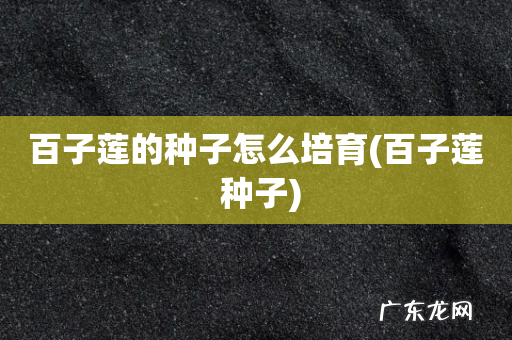 百子莲 种子 百子莲的种子怎么培育