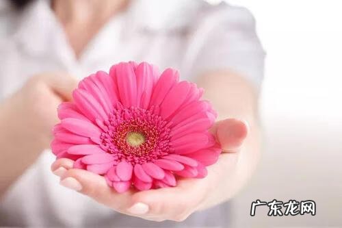 尿道炎的症状 阴到炎症症状