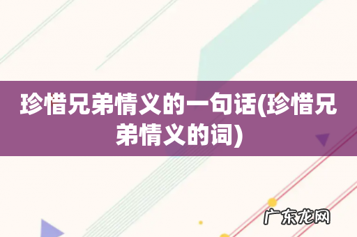 珍惜兄弟情义的词 珍惜兄弟情义的一句话