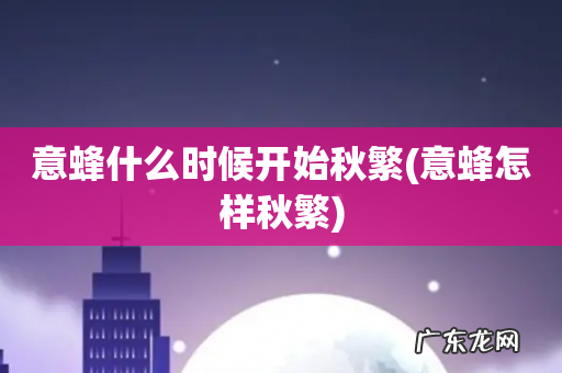 意蜂怎样秋繁 意蜂什么时候开始秋繁