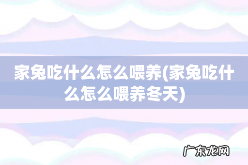 家兔吃什么怎么喂养冬天 家兔吃什么怎么喂养