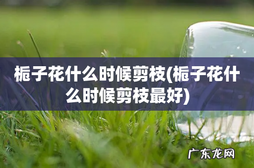 栀子花什么时候剪枝最好 栀子花什么时候剪枝