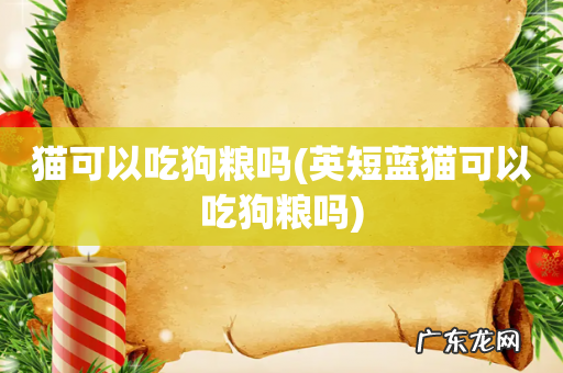 英短蓝猫可以吃狗粮吗 猫可以吃狗粮吗
