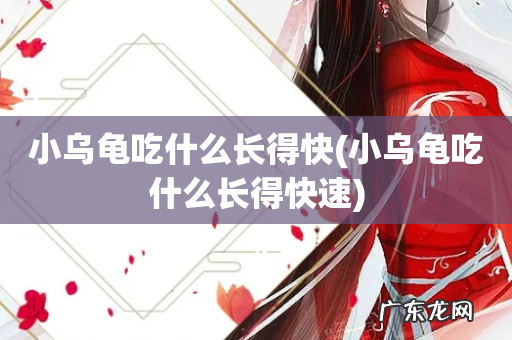 小乌龟吃什么长得快速 小乌龟吃什么长得快