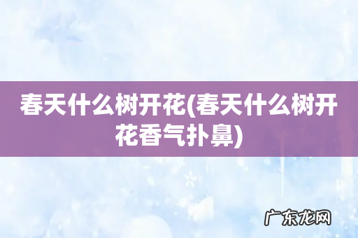 春天什么树开花香气扑鼻 春天什么树开花