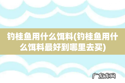 钓桂鱼用什么饵料最好到哪里去买 钓桂鱼用什么饵料