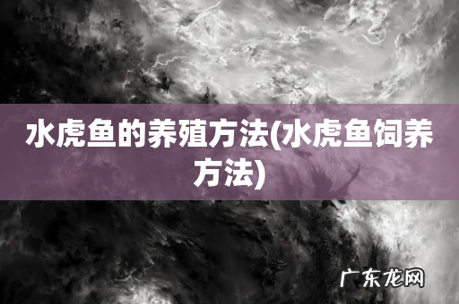水虎鱼饲养方法 水虎鱼的养殖方法