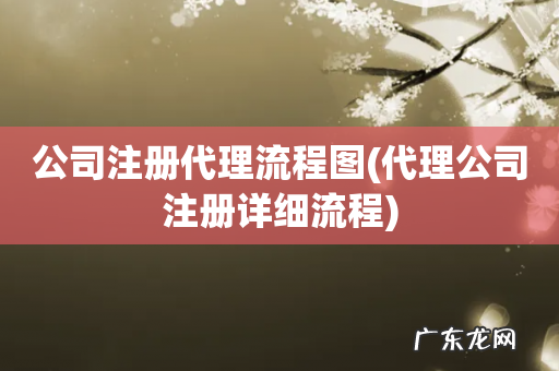 代理公司注册详细流程 公司注册代理流程图
