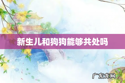 新生儿和狗狗能够共处吗